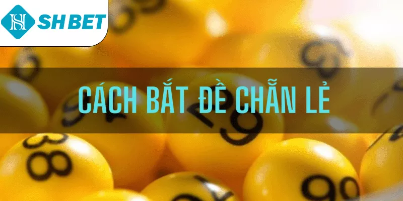 Cùng SHBET tìm hiểu tổng quan về dàn chẵn lẻ chuẩn xác nhất