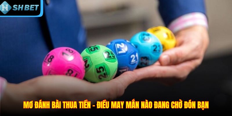 Mơ Đánh Bài Thua Tiền - Vận May Hay Điềm Báo Không Tốt