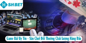 Tin Tức SHBET – Cập Nhật Nhanh Mọi Biến Động Trên Thị Trường