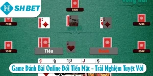 Tin Tức SHBET – Cập Nhật Nhanh Mọi Biến Động Trên Thị Trường