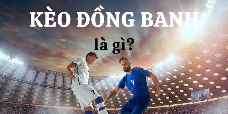 Kèo Đồng Banh - Tỷ Lệ Cược Xanh Chín Tại Nhà Cái SHBET