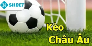 Thể Thao SHBET – Thỏa Mãn Đam Mê Cá Cược Mọi Lúc Mọi Nơi