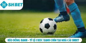 Thể Thao SHBET – Thỏa Mãn Đam Mê Cá Cược Mọi Lúc Mọi Nơi