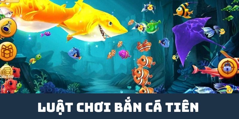 Bắn Cá Tiên SHBET - Game Đại Dương Hấp Dẫn Nhận Thưởng Khủng