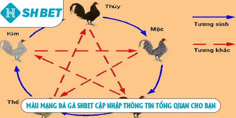 Màu mạng đá gà Shbet Cập Nhật Thông Tin Tổng Quan Cho Bạn