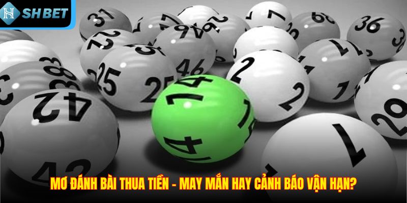 Mơ Đánh Bài Thua Tiền - Vận May Hay Điềm Báo Không Tốt