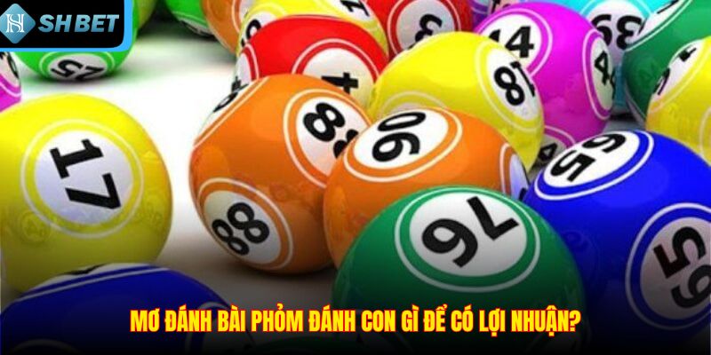 Mơ Đánh Bài Phỏm Đánh Con Gì? Giải Mã Luôn Cùng SHBET