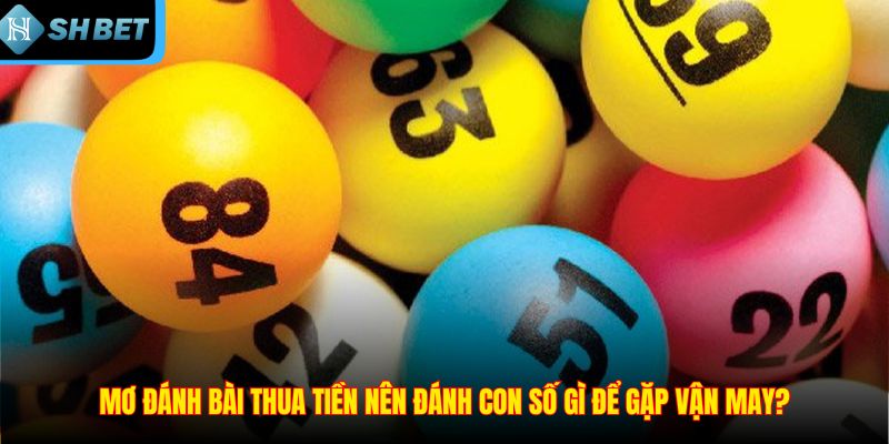 Mơ Đánh Bài Thua Tiền - Vận May Hay Điềm Báo Không Tốt