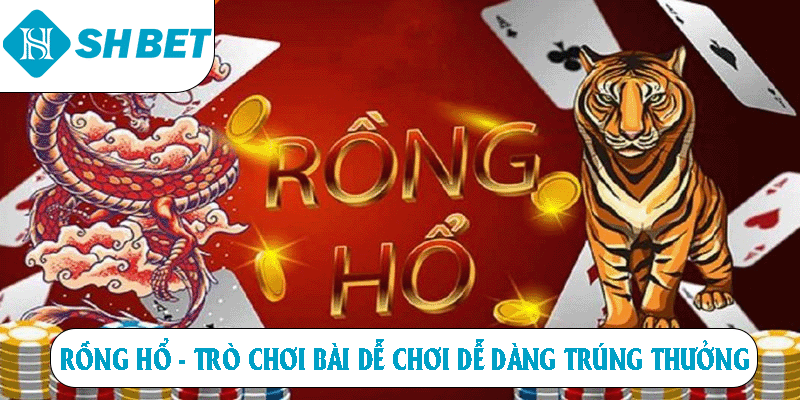 Rồng Hổ - Trò Chơi Bài Dễ Chơi Dễ Trúng Thưởng Tại SHBET