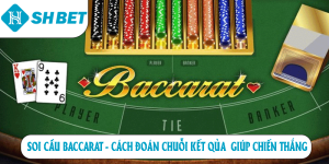 Casino Shbet – Trải Nghiệm Đỉnh Cao, Giải Trí Cực Đã