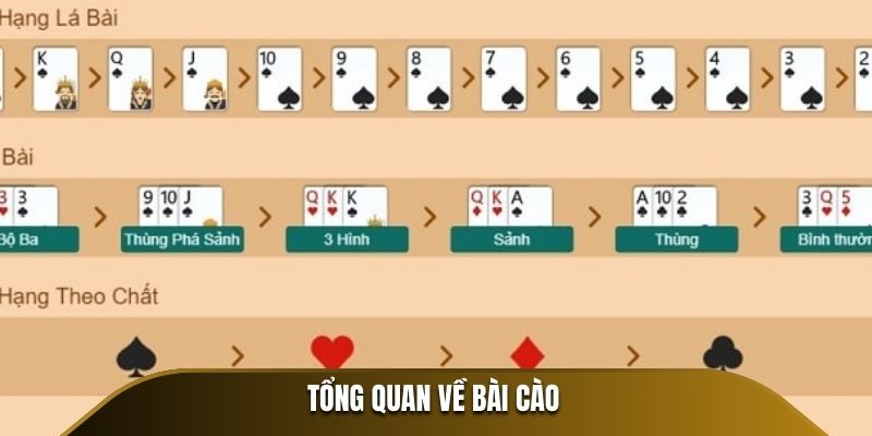 Bài Cào - Luật Chơi Chi Tiết Và Những Chiến Lược Dễ Thắng