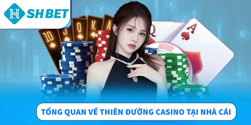 Casino Shbet – Trải Nghiệm Đỉnh Cao, Giải Trí Cực Đã