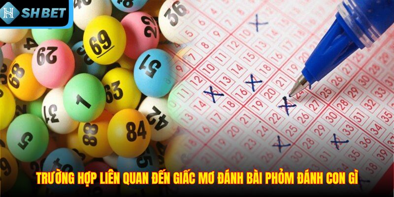 Mơ Đánh Bài Phỏm Đánh Con Gì? Giải Mã Luôn Cùng SHBET