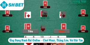 Tin Tức SHBET – Cập Nhật Nhanh Mọi Biến Động Trên Thị Trường