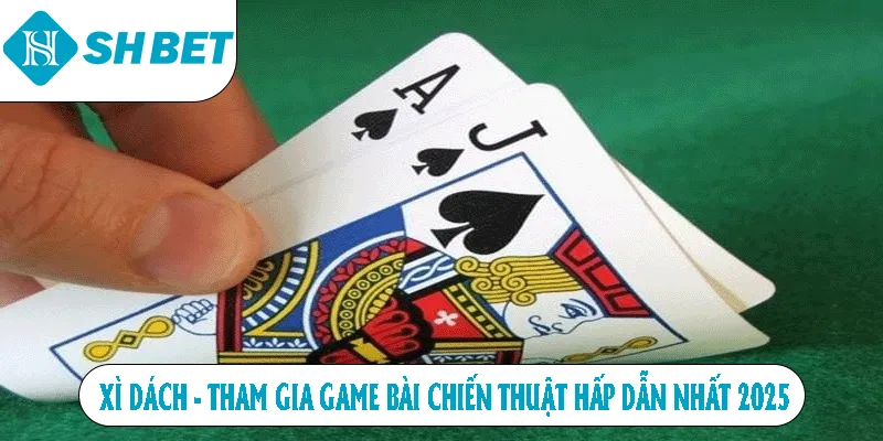 Xì Dách - Tham Gia Game Bài Chiến Thuật Hấp Dẫn Nhất 2026