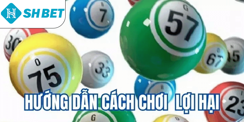 Xổ Số 3D SHBET: Hướng Dẫn Cách Chơi Và Mẹo Soi Cầu